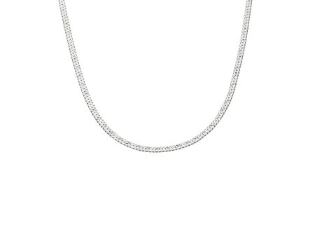 Estée Lalonde Short Snake Chain Necklace Sterling Silver Hot on Sale