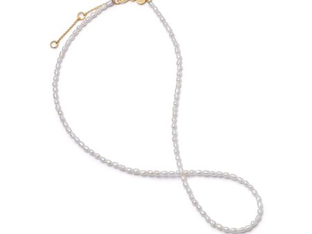 Freshwater Seed Pearl Necklace 18ct Gold Plate For Discount