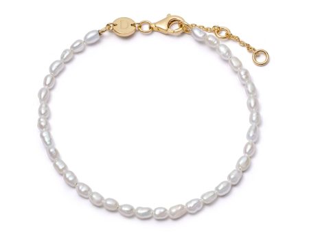 Freshwater Seed Pearl Bracelet 18ct Gold Plate on Sale