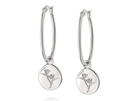 Bird Of Paradise Drop Earrings Sterling Silver For Cheap