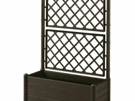 Planter Stefanplast 80036 Moka 100 x 43 x 142 cm Rectangular Hot on Sale