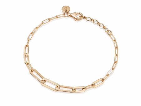 Estée Lalonde Box Chain Bracelet 18ct Gold Plate Sale