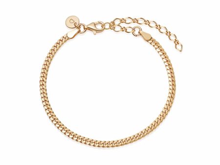 Estée Lalonde Tight Curb Chain Bracelet 18ct Gold Plate For Discount