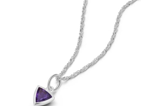 Amethyst February Birthstone Charm Necklace Sterling Silver Fashion