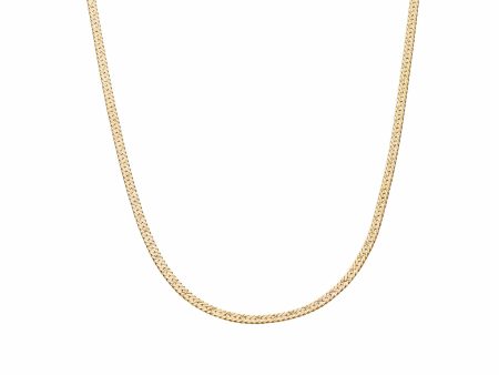 Estée Lalonde Long Flat Snake Chain Necklace 18ct Gold Plate Cheap