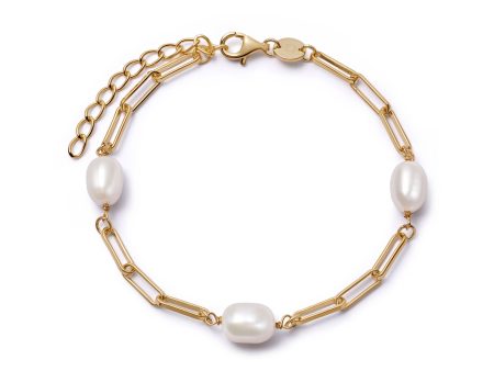 Pearl Chunky Chain Bracelet 18ct Gold Plate Online now