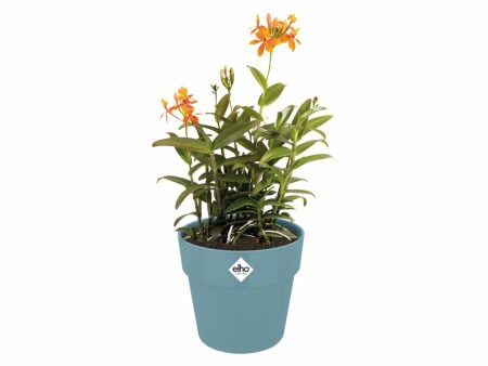 Plant pot Elho Blue Ø 35 cm Plastic Circular Hot on Sale