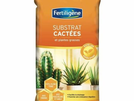 Plant fertiliser Fertiligène 6 L Online