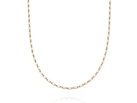 Estée Lalonde Box Link Chain Necklace 18ct Gold Plate on Sale