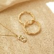 Estée Lalonde Limited Edition Leo Layering Set 18ct Gold Plate on Sale