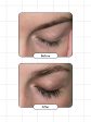 Xlash Eyelash Serum 3 ml Best Naturally Eyelash Serum for Longer Eyelashes Supply