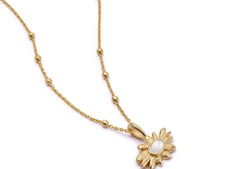 Daisy Mother of Pearl Flower Necklace 18ct Gold Plate Online