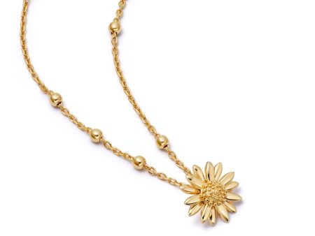 Small English Daisy Necklace 18ct Gold Plate Hot on Sale