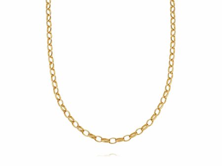 Estée Lalonde Chunky Chain Necklace 18Ct Gold Plate For Cheap