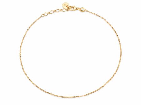 Estée Lalonde Forever Chain Anklet 18ct Gold Plate Fashion