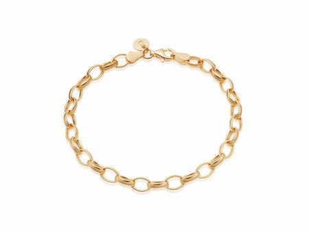 Estée Lalonde Chunky Chain Bracelet 18ct Gold Plate For Cheap