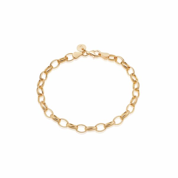 Estée Lalonde Chunky Chain Bracelet 18ct Gold Plate For Cheap