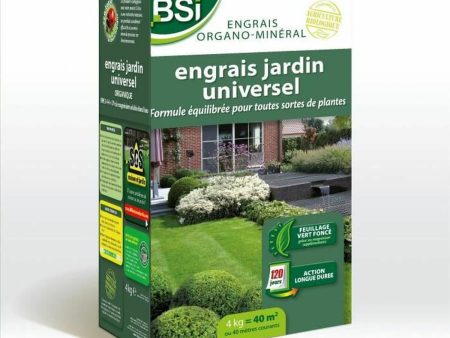 Organic fertiliser BSI Long Action Flowers 4 Kg Cheap