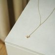 Estée Lalonde Fine Sapphire Lariat Necklace 14ct Solid Gold Hot on Sale